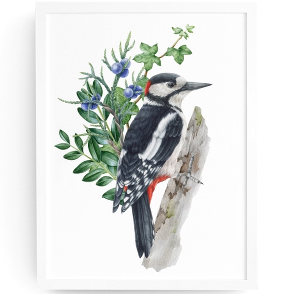 Great Spotted Woodpecker Bird Wall Art Watercolor Illustration Print Unframed - Picture 1 of 7
